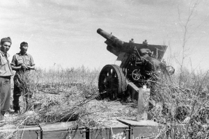 Magyar gyártmányú 150 mm-es 31 M gépvontatású közepes tarack.